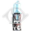 CASE 07034997 Bulb